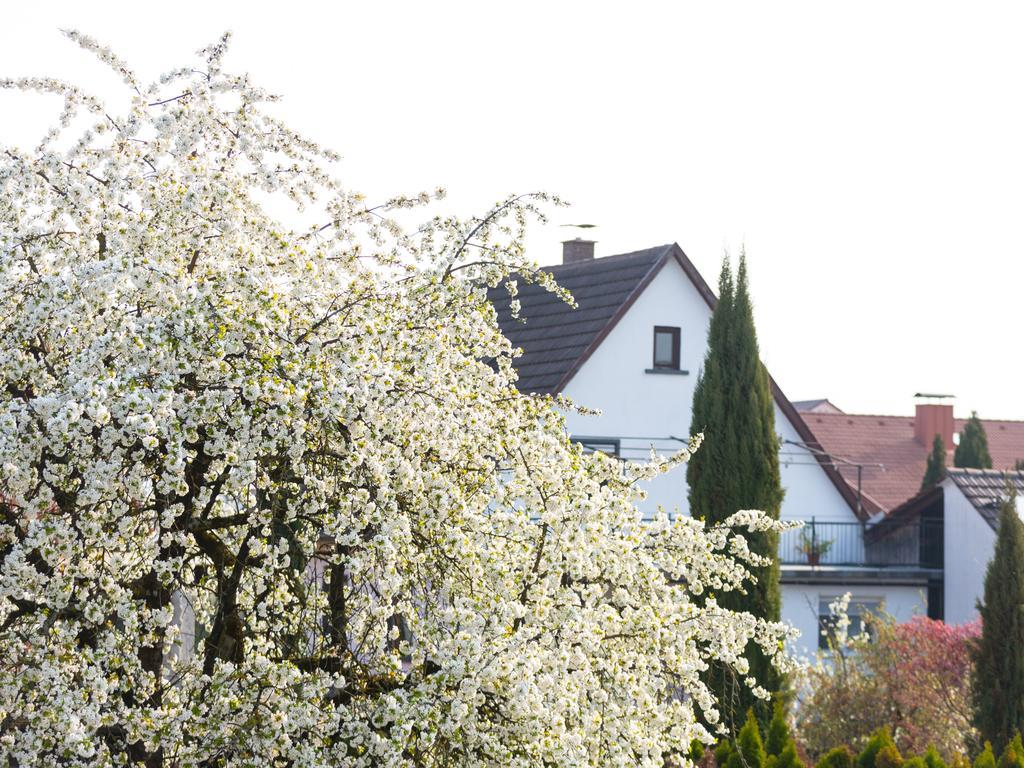 Living Timeless - Ruster Drachennest, Zentrale Lage In Rust, Nur Wenige Minuten Zum Europa-Park & Rulantica Exterior foto
